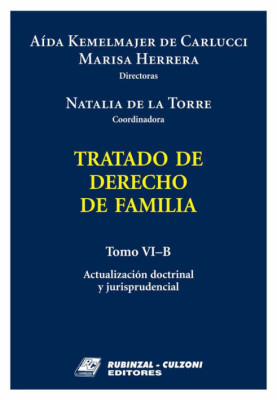 Tomo VI-B - Actualización doctrinal y jurisprudencial