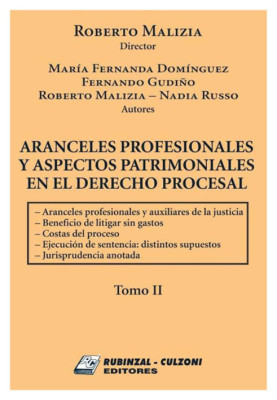Aranceles profesionales y aspectos patrimoniales en el Derecho Procesal - Tomo II