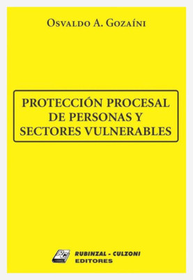 Proteccion procesal de personas y sectores vulnerables