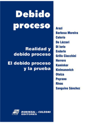 Debido proceso. Realidad y debido proceso. El debido proceso y la prueba.
