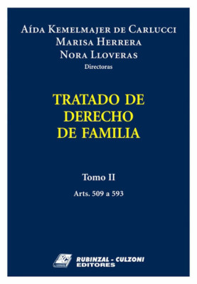 Tomo II (Arts. 509 a 593)