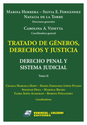 Derecho Penal y Sistema Judicial