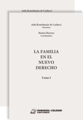 La familia en el nuevo Derecho.