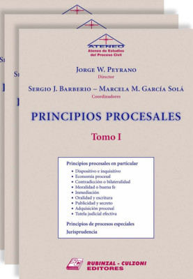 Principios Procesales.
