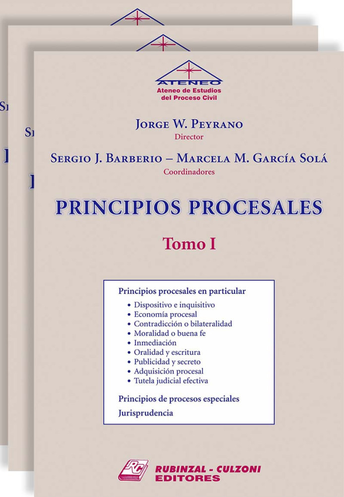 Principios Procesales.