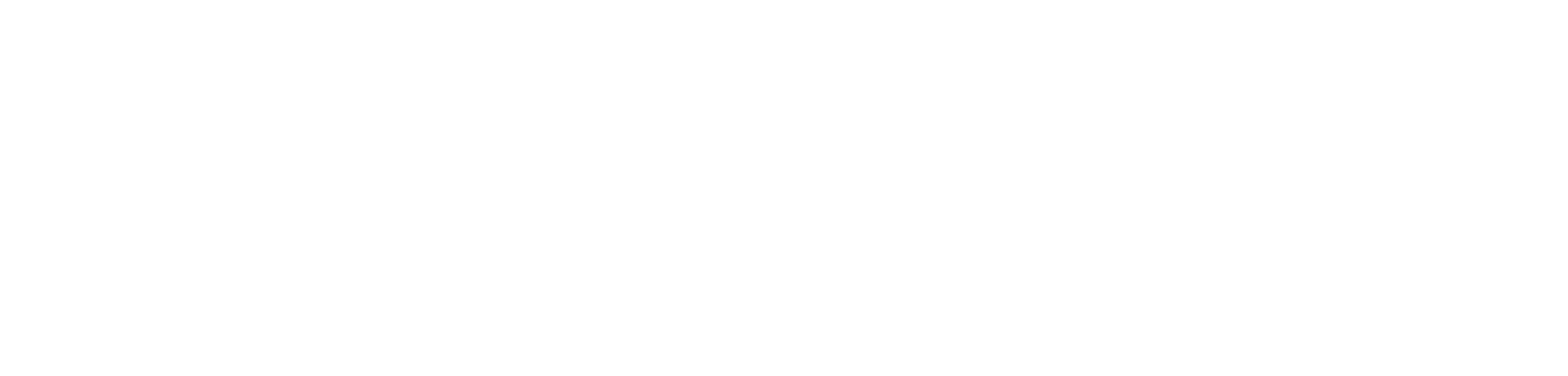 Rubinzal Digital
